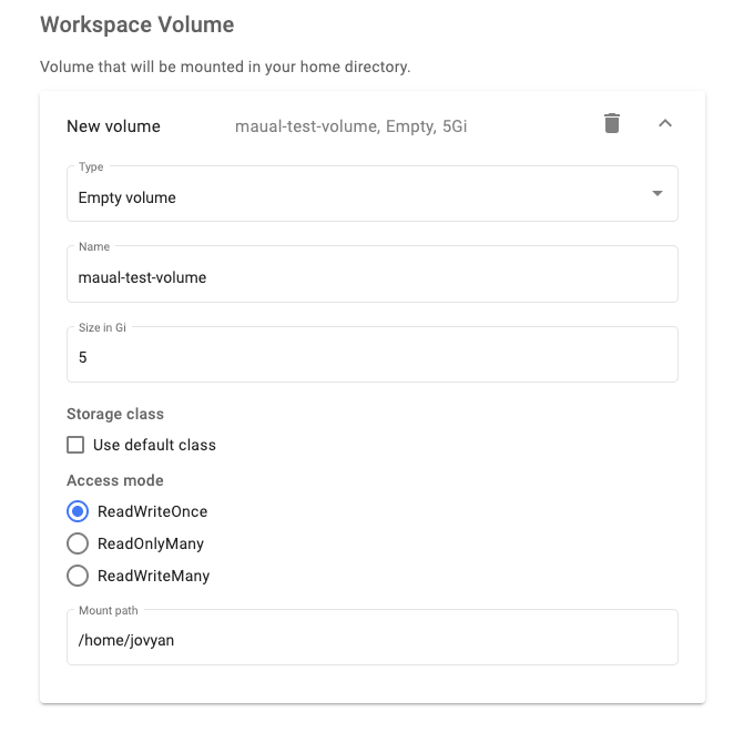 Workspace volume set to persistent storage